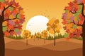Autumn background, landscape. Maple trees with colorful leaves. Sunset. Evening. Birds fly away. Royalty Free Stock Photo