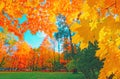 Autumn background landscape. Yellow color tree, red orange foliage in fall forest Abstract autumn nature beauty scene Su Royalty Free Stock Photo