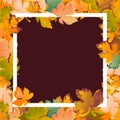 Autumn background layout decorate leaves shopping sale or promo poster and white frame leaflet ,web banner.Vector Royalty Free Stock Photo