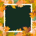 Autumn background layout decorate leaves shopping sale or promo poster and white frame leaflet ,web banner.Vector Royalty Free Stock Photo