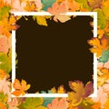 Autumn background layout decorate leaves shopping sale or promo poster and white frame leaflet ,web banner.Vector Royalty Free Stock Photo