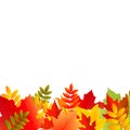Autumn Background Royalty Free Stock Photo