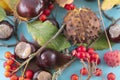 Autumn background. Leaves, chestnuts, dried leaves, rowan berries on pastel blue background. Autumn, fall concept. View from above