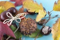 Autumn background. Leaves, chestnuts, dried leaves, rowan berries on pastel blue background. Autumn, fall concept. View from above