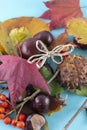 Autumn background. Leaves, chestnuts, dried leaves, rowan berries on pastel blue background. Autumn, fall concept. View from above