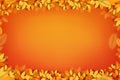 Autumn background,leaves frame on Orange,Yellow gradient background,Backdrop design for fall season sale banner,Poster, Royalty Free Stock Photo