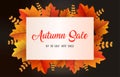 Autumn background with leaves golden yellow with square frames, and discounted letters. fall concept,For wallpaper, postcards,