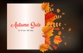 Autumn background with leaves golden yellow with square frames, and discounted letters. fall concept,For wallpaper, postcards,