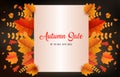 Autumn background with leaves golden yellow with square frames, and discounted letters. fall concept,For wallpaper, postcards,