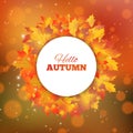 Autumn background with leaves. Hello autumn card. Vector illustration Royalty Free Stock Photo