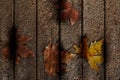 Autumn background with leaves on old woods Royalty Free Stock Photo