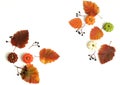 Autumn background. leaves, pumpkins, berries frame on white backdrop top view.