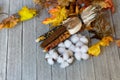 Autumn Background with leaves, pumpkins, dried corn, and gourds. Royalty Free Stock Photo