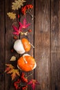 Autumn background with leaves and pumpkins, thanksgiving and halloween card Royalty Free Stock Photo