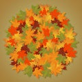 Autumn background of leaves round maple.