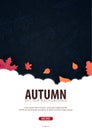 Autumn Background with leaves. For shopping sale, promo poster and frame leaflet, web banner. Vector illustration template. Royalty Free Stock Photo