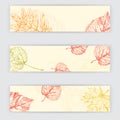 Autumn background with leaves for web-design. Autumn banners. Hand drawn illustration