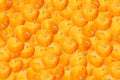 Autumn background made frem pumpkin. Background of orange miniature pumpkins. Thanksgiving or halloween background