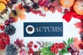 Autumn background with maple leaves, apples and pumpkins, mountain ash and plums. Frame  with the words autumn. Royalty Free Stock Photo