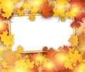 Autumn background with maple leaves.