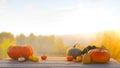 Autumn background with maple leaves and pumpkins.Harvest or Thanksgiving background