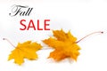 Autumn background, maple leaves on a white background. Caption: Fall Sale.