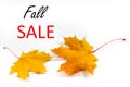 Autumn background, maple leaves on a white background. Caption: Fall Sale.