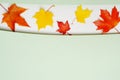 Autumn background with maple leaves