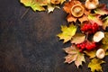 Autumn background with autumn maple red and orange leaves, mushrooms and berries