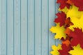 Autumn background with mapple leaves and blue wooden plank. Fall design vector illustration. Empty space for your text. Royalty Free Stock Photo