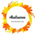 Autumn background natural colorful plant decoration fall leaves art. Graphic floral holiday outdoor element template. Flower Royalty Free Stock Photo
