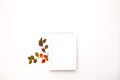 Autumn background with natural decor. White photo frame, autumn dried leaves. Flat lay, top view. Copy space for seasonal promotio