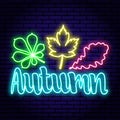 Autumn background, neon inscription. Colorful oak leaves of chestnut and maple. To attract customers to promotions, discounts