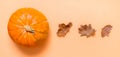 Autumn background with oak yellow leaves and pumpkins. Frame of fall harvest on aged wood with copy space. top view and banner Royalty Free Stock Photo