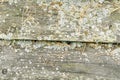 Autumn background old wooden boards with yellowed needles