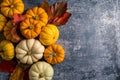 Autumn background. Orange and white mini pumpkins over blue background. Top view Royalty Free Stock Photo