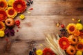 Autumn background with orange and yellow gerbera flowers, decorative pumpkins, berries, wheat ears. Composition for Thanksgiving Royalty Free Stock Photo