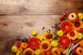 Autumn background with orange and yellow gerbera flowers, decorative pumpkins, wheat ears. Composition for Thanksgiving day Royalty Free Stock Photo