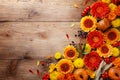 Autumn background with orange and yellow gerbera flowers, red berries, decorative pumpkins, wheat ears. Thanksgiving day