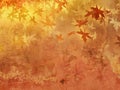 Autumn background pattern Royalty Free Stock Photo