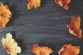 Autumn background with place for text. Vintage background with leaves.