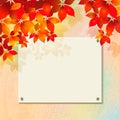 Autumn background with plastered wall, billboard Royalty Free Stock Photo