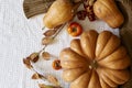 Cozy autumn background with pumpkin