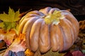 Pumpkin and foliage Royalty Free Stock Photo