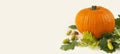 Autumn background of pumpkin and oak leaves. Autumn concept. Banner. Flat lay. Copy space