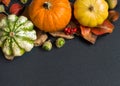 Autumn background - Pumpkins, acorns, leaves and berries