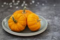 Autumn background with pumpkins on textured dark board. Halloween, Thanksgiving orange little pumpkins Royalty Free Stock Photo