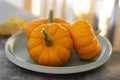 Autumn background with pumpkins on textured dark board. Halloween, Thanksgiving orange little pumpkins Royalty Free Stock Photo