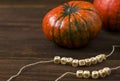 Autumn background with pumpkins on a rustic wooden background. Happy Thanksgiving with copy space. Happy Halloween text