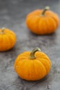 Autumn background with pumpkins on textured dark board. Halloween, Thanksgiving orange little pumpkins Royalty Free Stock Photo